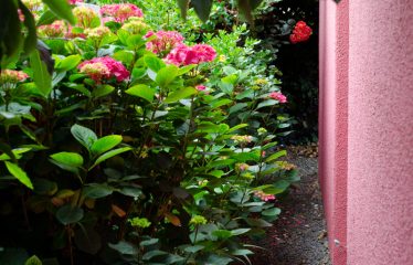 Casa Rosa para 10 personas